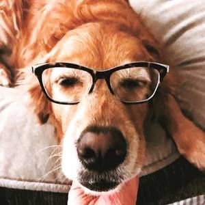 Meet your Posher, Kristina